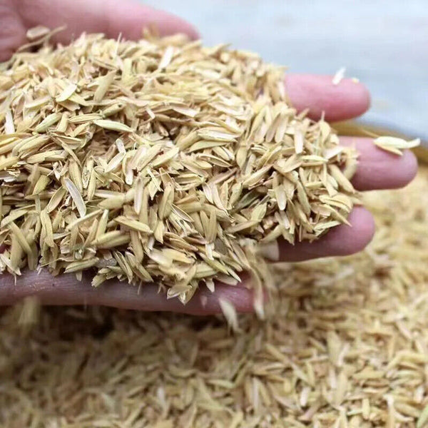 Dried Hulls Whole Rices Husks Natural organic Compost Hydroponic Growing Media