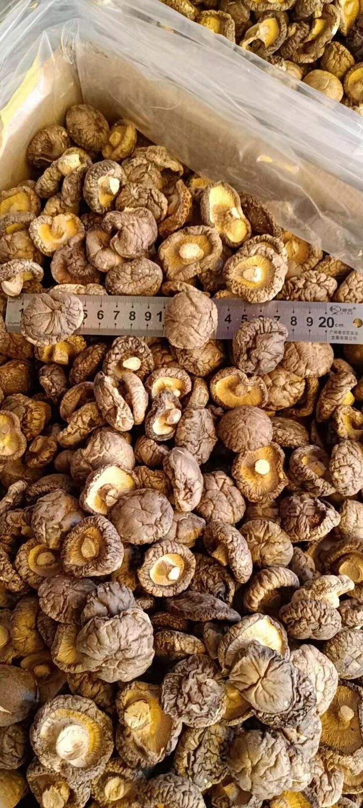 Glossy Mushroom Dried Mushroom 4-5cm Fujina Winter Dried Shiitake 250g/8.8oz