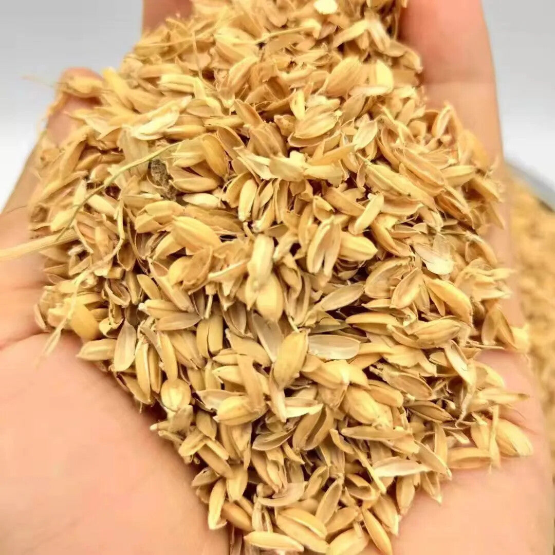 Dried Hulls Whole Rices Husks Natural organic Compost Hydroponic Growing Media