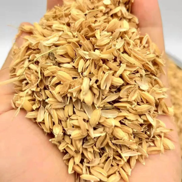 Dried Hulls Whole Rices Husks Natural organic Compost Hydroponic Growing Media