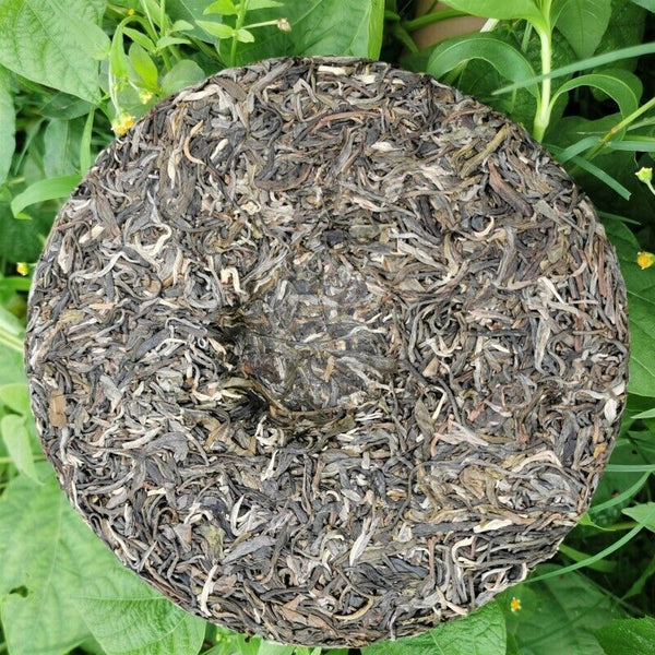 HelloYoung 357g Top Pu-Erh Spring Tea Cake Zhonghong Yin Bow Ancient Tree Tea Yiwuwanggong
