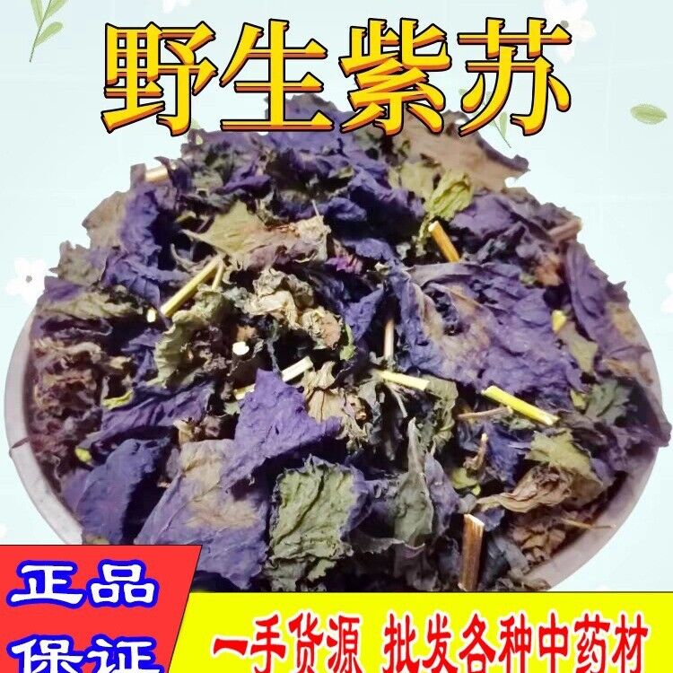 Wild Authentic Perilla Leaf Stalks Natural Freshsulfur-free Perilla Leaves Main image