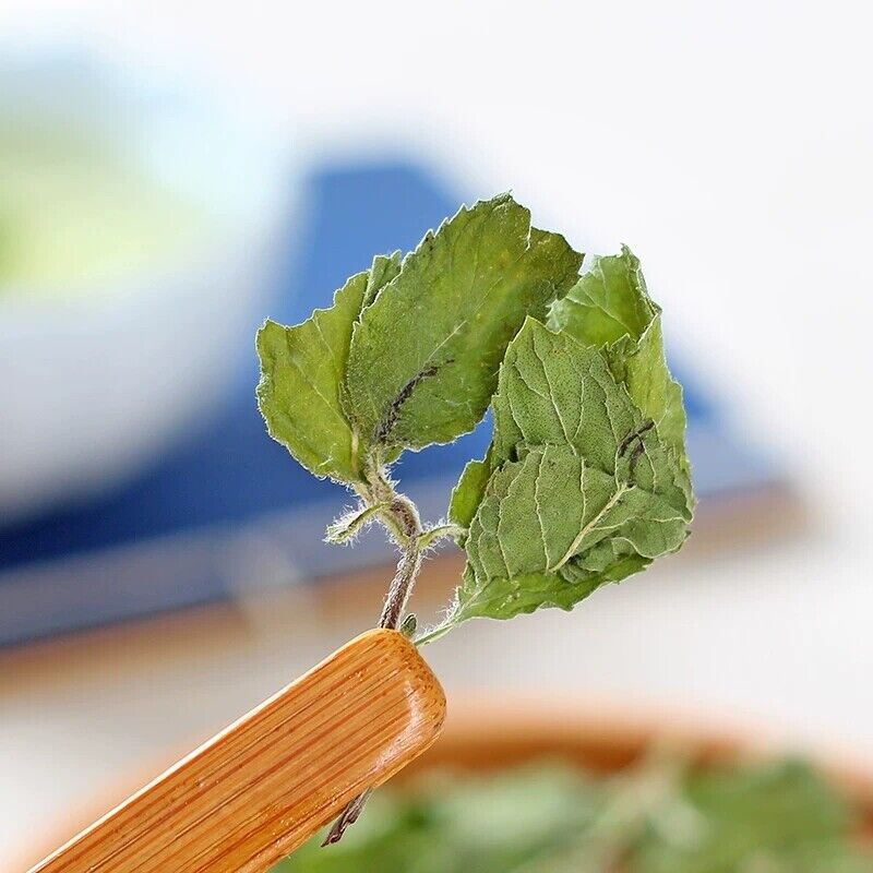 Mint Leaves Dried Peppermint Tea Herbal Pure Peppermint Natural Tea 500g/1.1LB