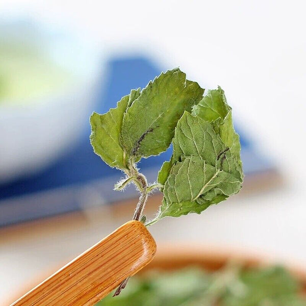 Mint Leaves Dried Peppermint Tea Herbal Pure Peppermint Natural Tea 500g/1.1LB
