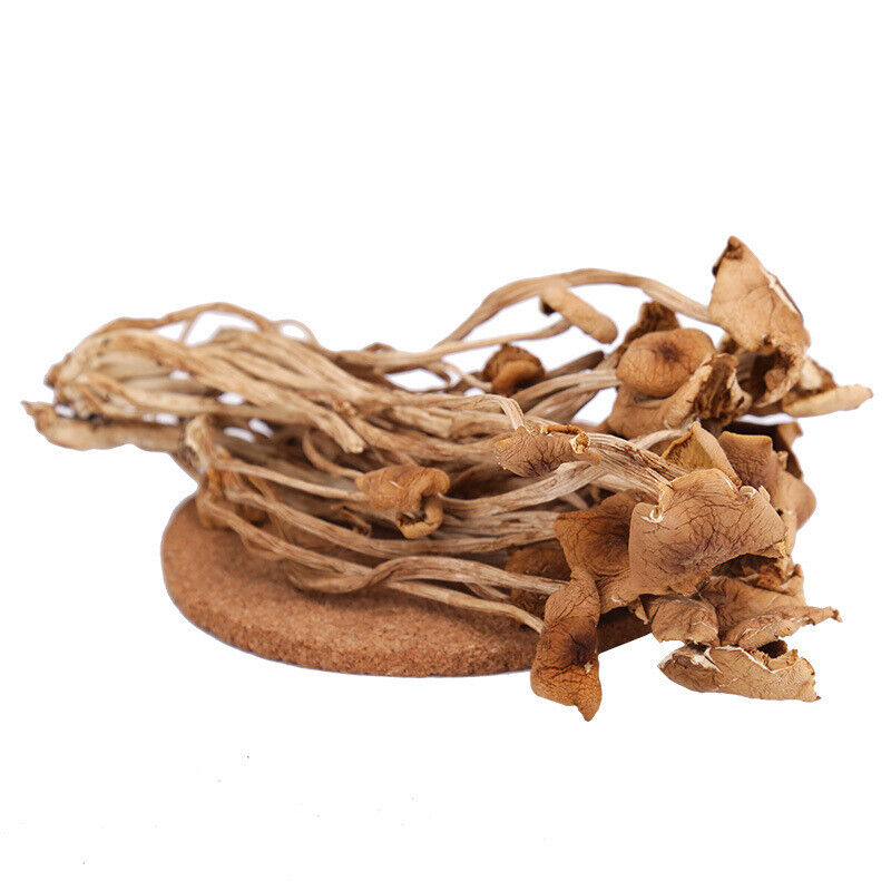 New Premium Dried Tea  Mushroom  Herbal Agrocybe Cylindracea 250g/8.8oz/bag