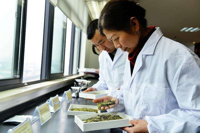 HelloYoung Fresh Biluochun Tea Natural Original Green Tea Organic Herbal Healthy Drink 250g