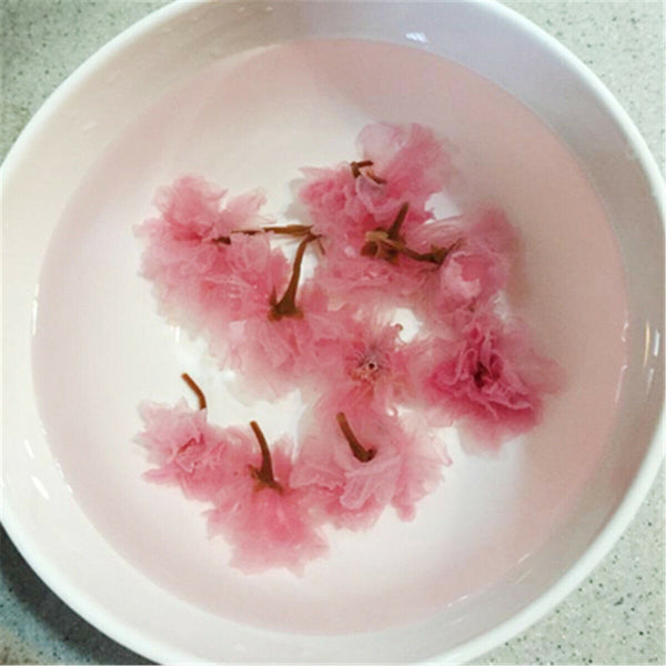 Flower Tea Japanese Salted Sakura Cha Pink Cherry Blossoms Traditional Preserved