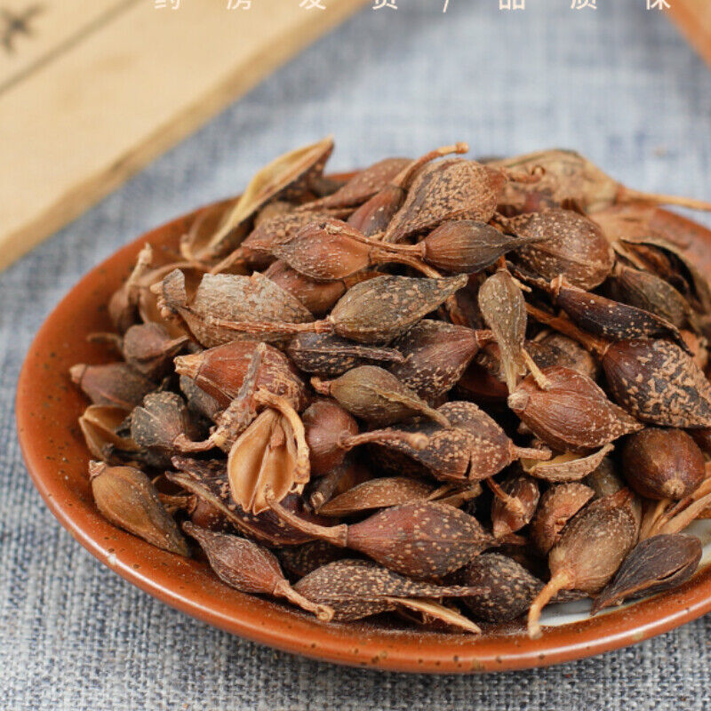 HelloYoung 250g /500g High Quality Featured Forsythia Lianqiao Health Top Tea 连翘 Secondary image