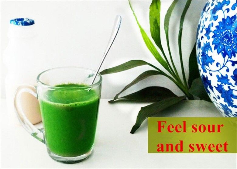 High Grade Natural Organic Japan Wheat Seedlings Grass Tea Extract Powder 100g