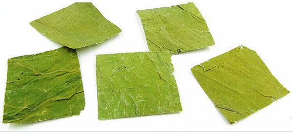 HelloYoung lotus leaf flakes lotus leaf shreds lotus leaf granules lotus leaf tea 17.6oz