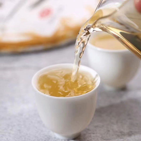 HelloYoung Yunnan Tea Long Yin Ban Zhang Pu'er Tea Raw Tea 357g Cake Tea