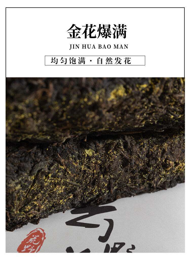 HelloYoung 1kg Hunan Anhua Black Tea Aged Tea Hand-built Fu Brick Golden Flower Black Tea