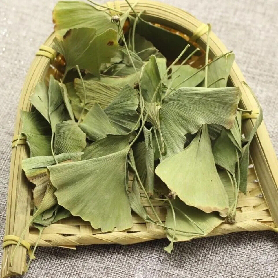 Ginkgo Leaf Powder Organic Ginkgo biloba 100% Pure Nootropic Tinnitus Memory 1oz