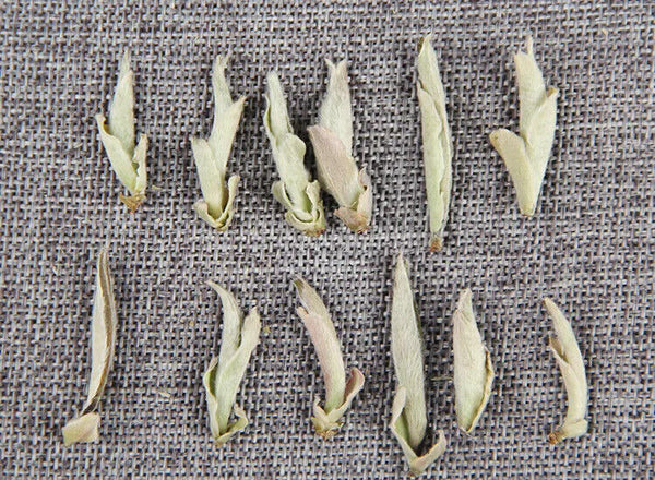 Yunnan Puer Tea Loose Shen Puerh White Buds Bai Ya Bao Yunnan Pu Erh Cha 500G