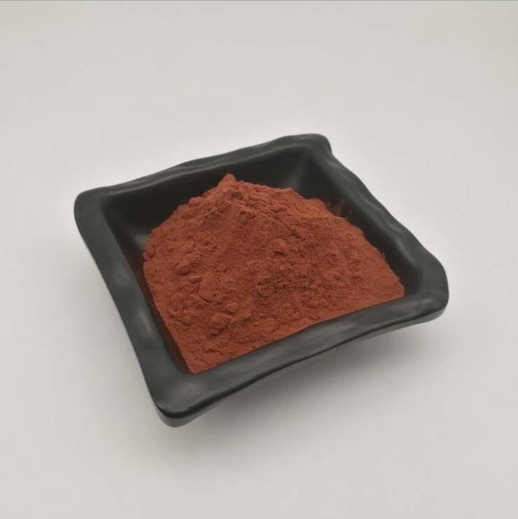 100g 95% oligomeric proanthocyanidins OPC Pine bark extract powder Main image