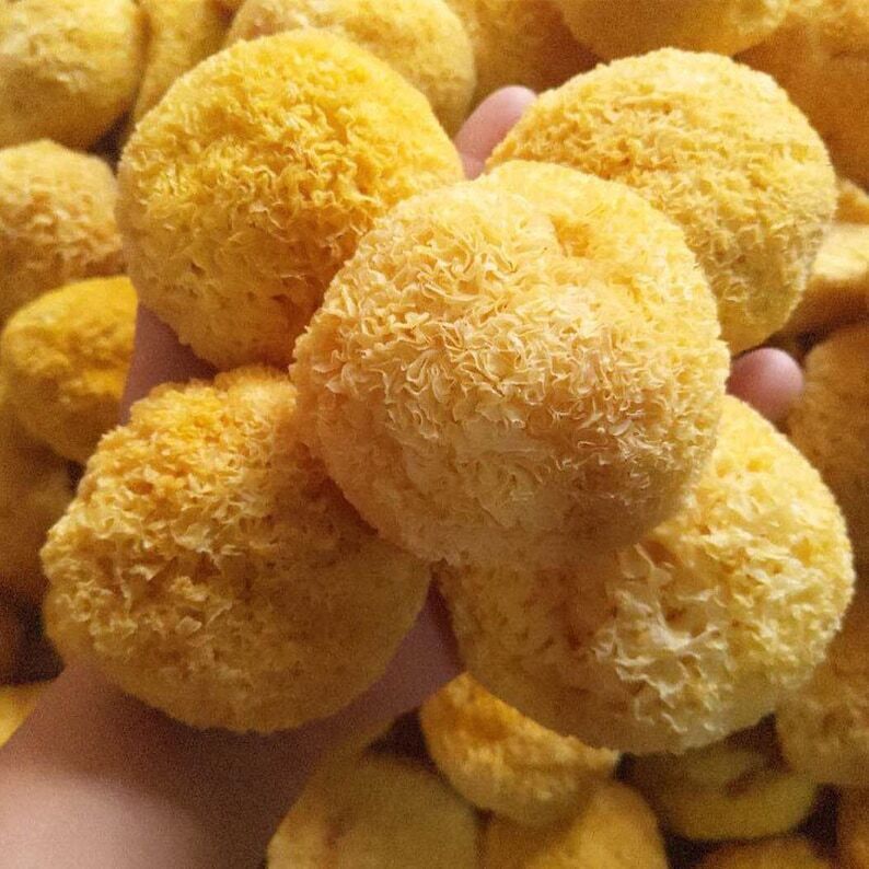 Organic Dried Tremella Snow White Fungus Mushrooms, Silver Ear, Yin Er