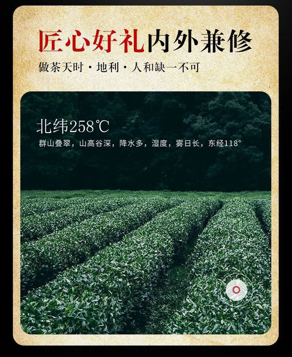 Oolong Tea Gift Bag New Tea Luxiang Type Dahongpao 500g Wuyi Mountain Tea