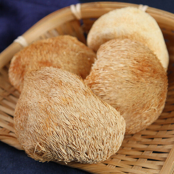 Yunnan Getrocknete Löwenmähne (Affenkopf) Pilz 100g Natürlich Hericium Erinaceus