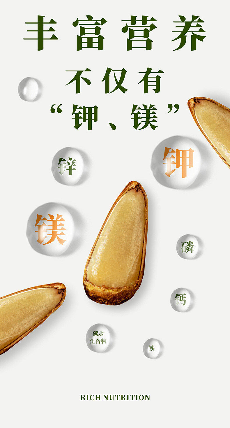 Yunnan Parana Pine Nuts – Hand-Picked Jumbo Shelled