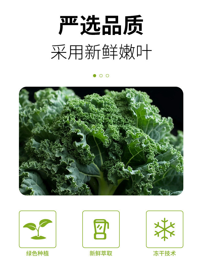 Kale powder green juice fiber solid drinks fruit and vegetable powder