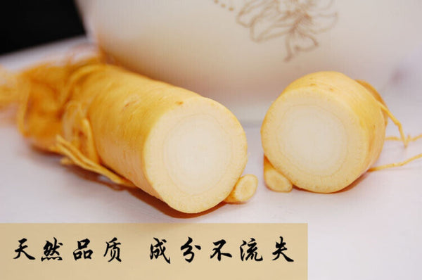 10pc Fresh Panax Ginseng Root Premium Herbal Health Optimal Grade