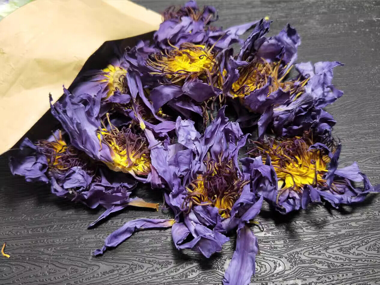 HelloYoung FullChea 20-25 pcs Egyptian Blue Lotus Flower Tea Bags Premium Lotus Herba Tea