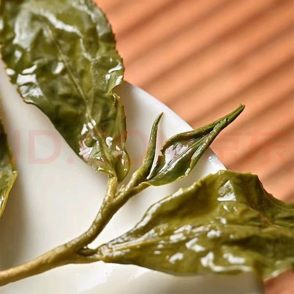 Taiwan Alishan Milk Aroma Jin Xuan Oolong Tea High Mountain 7.5g New Loose Leaf
