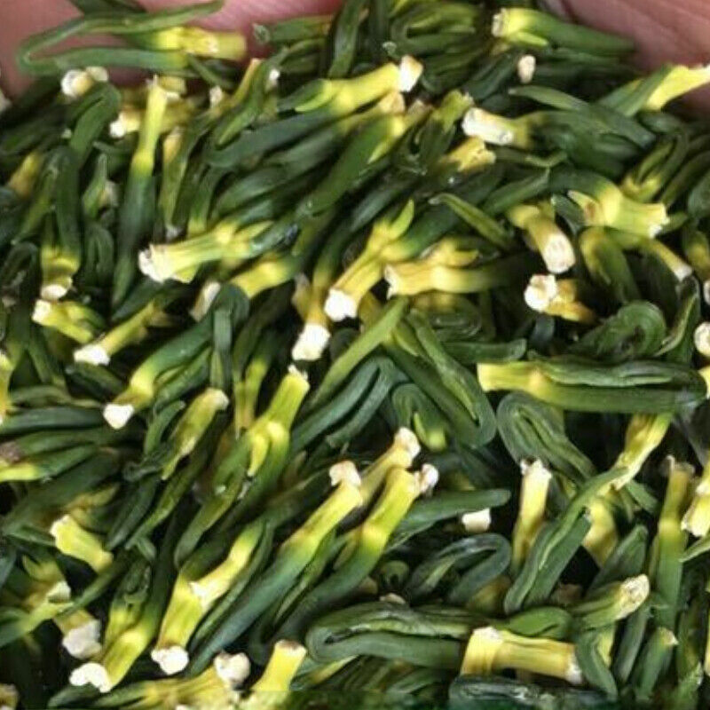 HelloYoung Organic Dried Lotus Plumule Lian Zi Xin Plumula Nelumbinis Natural Herbal Tea Secondary image