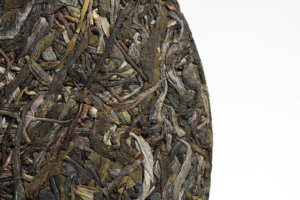 357g Xigui Old Tree Tea Cake Bright Front Spring Tea Yunnan Puerh Tea