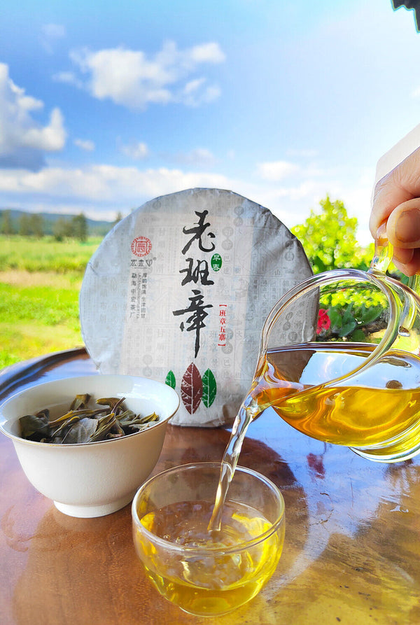 HelloYoung 357g Ming Qian Ancient Tree Spring Tea Pu'er Raw Tea Seven Seed Cake Tea