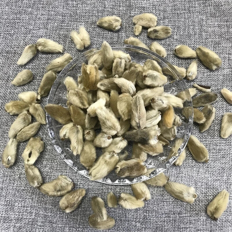 Xinyihua Natural Flavor Tea Dried Flos Magnoliae Flower Tea 250g