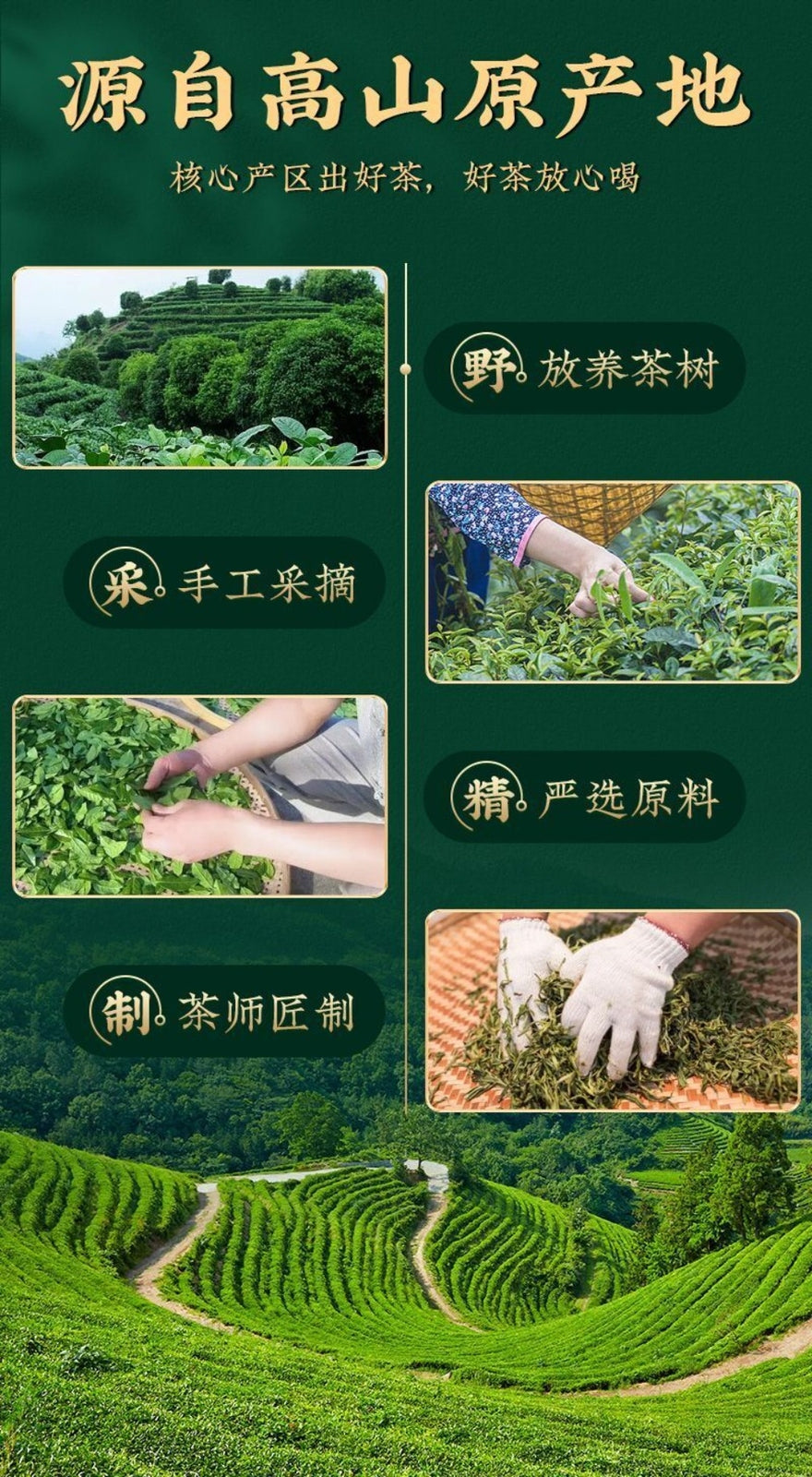 Fresh Spring Tie Guan Yin Oolong Tea 250g New Harvest Light Aroma