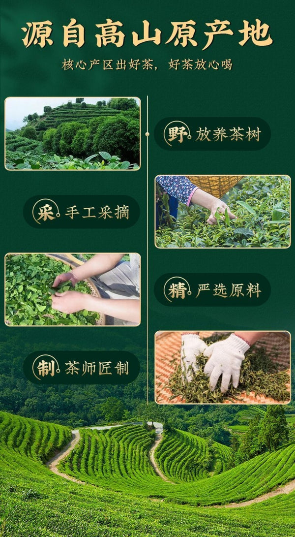 Fresh Spring Tie Guan Yin Oolong Tea 250g New Harvest Light Aroma