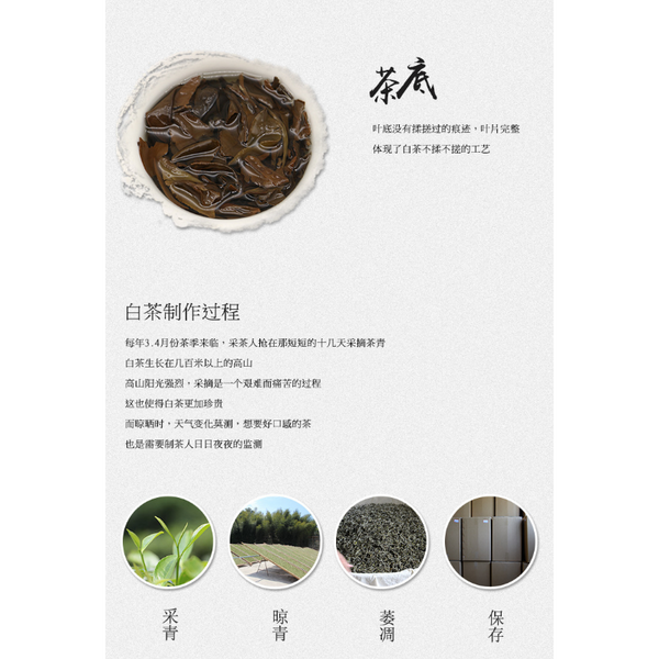 Old White Tea 500g/1.1LB Spring Tribute Eyebrow Gold Brick Fuding White Tea