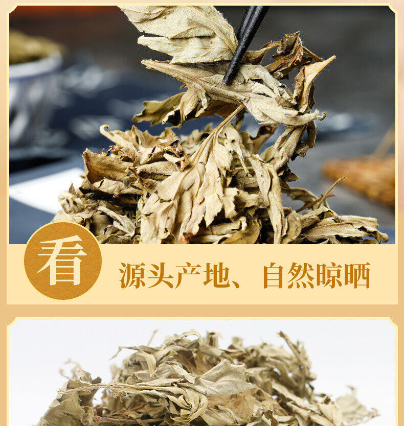 HelloYoung Big Mugwort Leaf Mugwort Leaf Fresh Mugwort Leaf Produce Mugwort Herb 500g/1.1lb