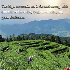 HelloYoung Premium Organic Taiwan Jinxuan Milk Oolong Tea 250g