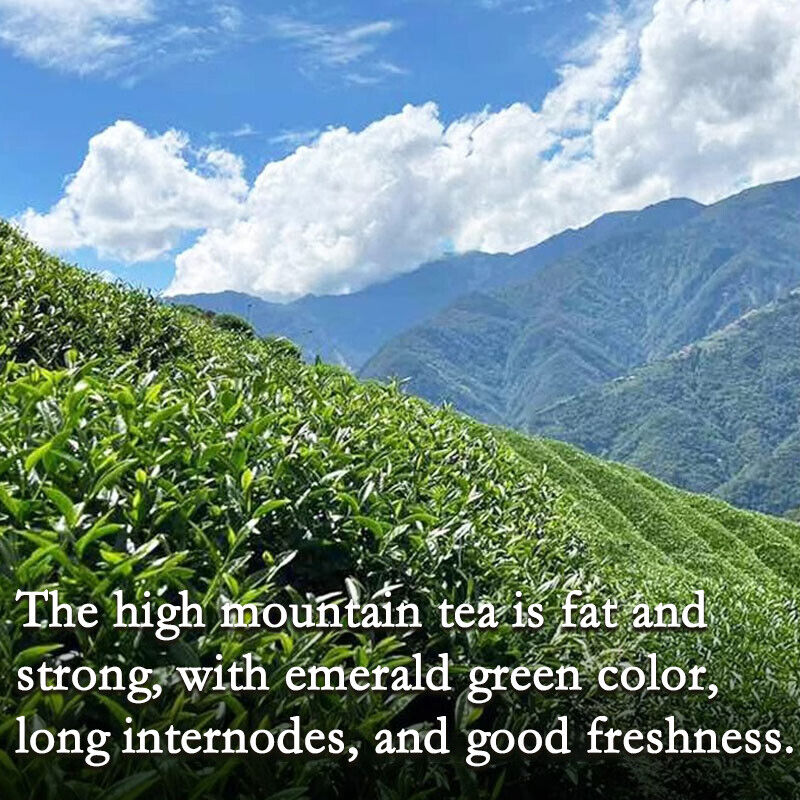 High Mountain Taiwanese Loose Leaf Tea - Great Milky Cream Taste and Aroma 250g