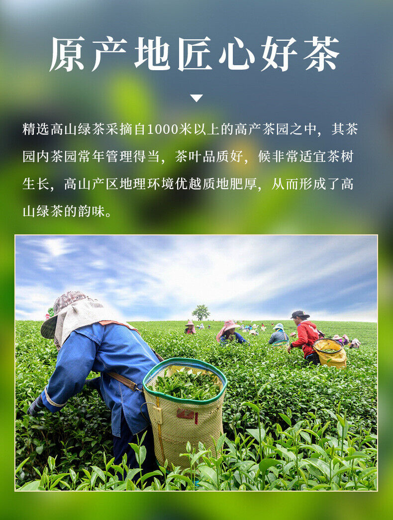 Alpine Cloud Green Tea Fragrant Tea New Tea Green Tea 250g Canned Bulk
