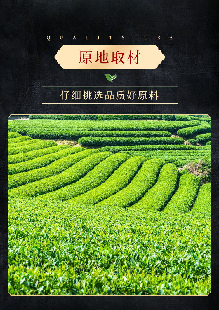 Chajindao Biluochun Green Tea  50g Mingqian Loose Tea Good Tea