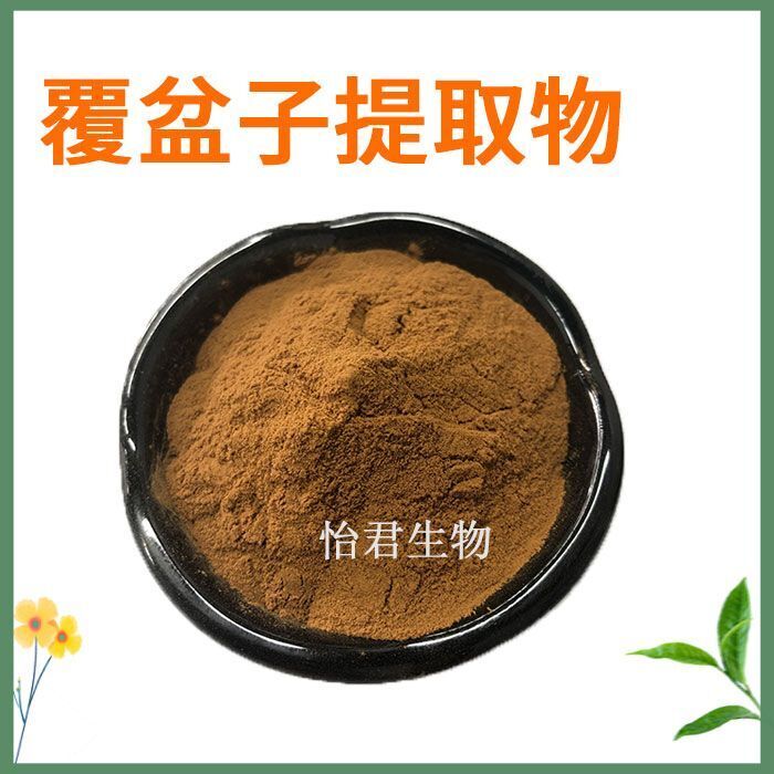 Premium Raspberry Extract 20:1 Raspberry Powder Concentrate Main image