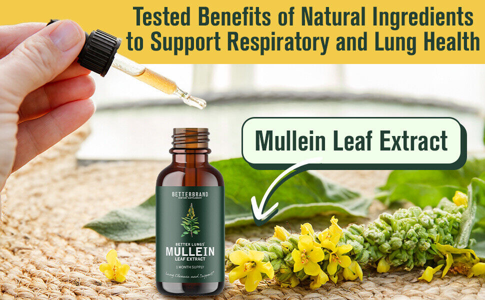 Premium Mullein Leaf Extract Drops Natural Herbal Tea for Respiratory Health