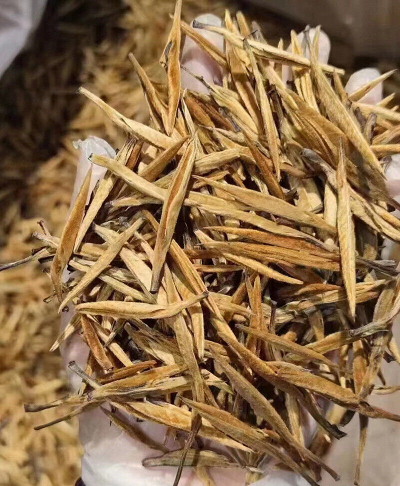 HelloYoung 500g Yunnan Fengqing Dian Hong Tea Healthy Drink 春茶单芽 500克