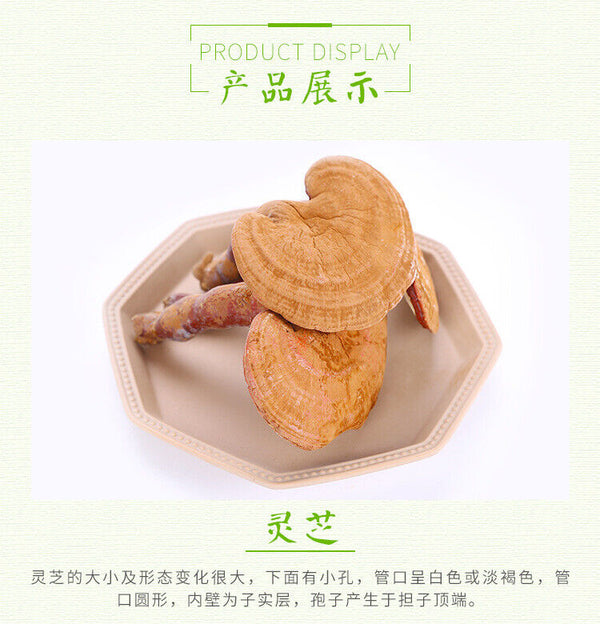 Changbai Mountain Lingzhi Tablet Red Ganoderma lucidum Wood Ganoderma lucidum