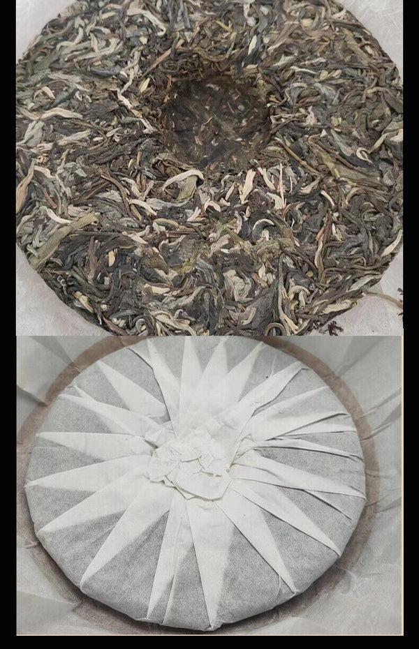 HelloYoung Yunnan Pu'er Tea Pagong Gushu First Spring Pu'er Raw Tea 357g Cake Tea