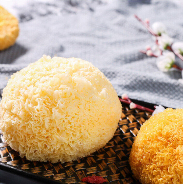 HelloYoung Snow Fungus Ball Edible Mushrooms Good for Health Great Tremella Fuciformis 100g
