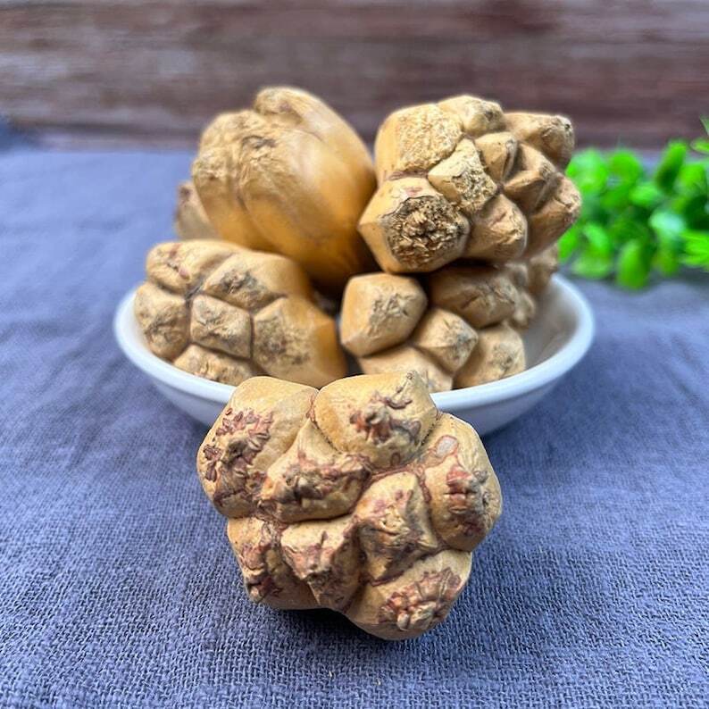 Organic Dried Herba Hala Fruit Pandanus Tectorius Thatch Screwpine Shan Bo Luo