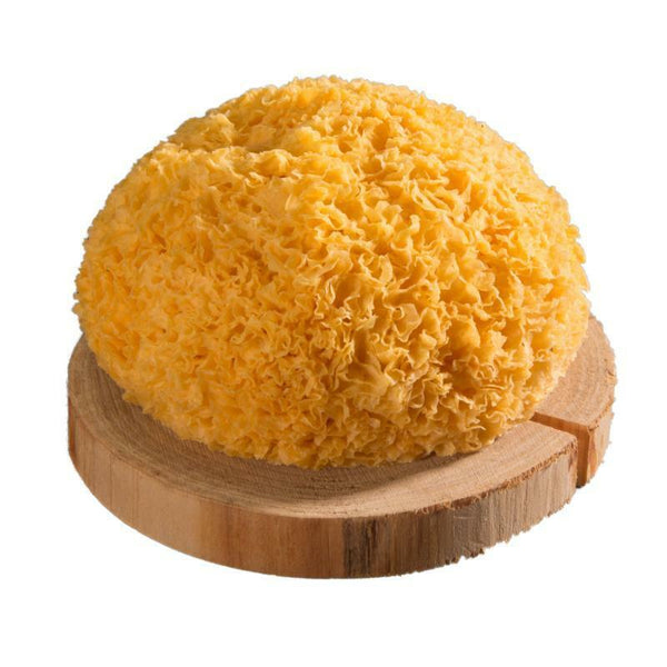 250g/8.8oz Dried White Fungus Snow Fungus Natural White Fungus