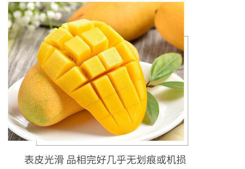 High Quality Dried Mango Preserved Mango Natural Dried Fruit 250g/500g
