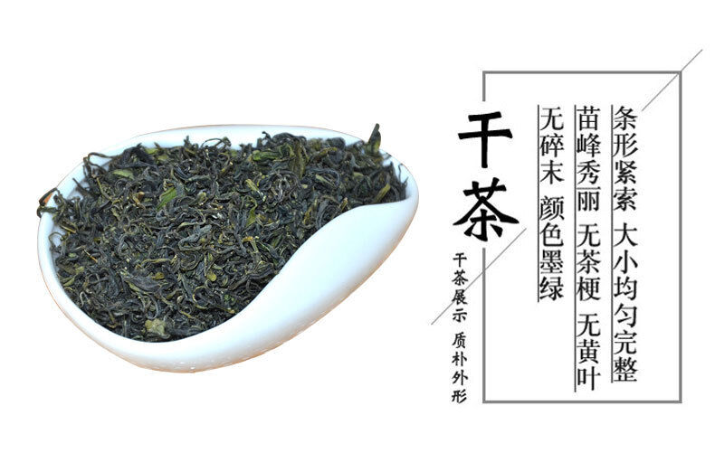 HelloYoung Rizhao Green Tea New Tea Strong Fragrance and Brewing Resistance 500g/1.1lb