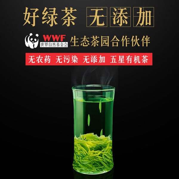 2025 Jinjiang Green Tea Organic Three-Star 50g Bag Pre-Qingming Rain-Soaked Tea